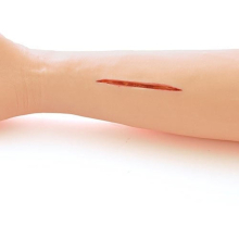 Bőr varrat oktató kar modell