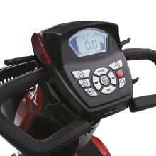 Scooter MOBILITY 250 1650W - 100Ah