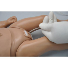 Baba 0-8 hetes csecsemő betegápolási modell