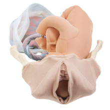 Deluxe gyermek szülési modell