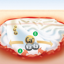 SUPRASORB A 5 X 5 CM kálciumalginát kötszer