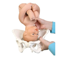 Deluxe gyermek szülési modell