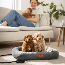 Beurer PP250 Kira fűthető kisállat fekvőágy