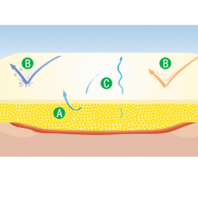 SUPRASORB H hidrokolloid standard 15 X 15 CM