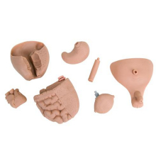 Betegápolási csecsemő modell